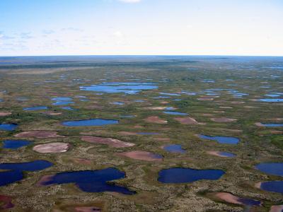 Desiccated Lakes in Northern Canada