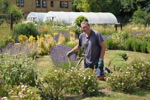 A volunteer in a Trust Links garden