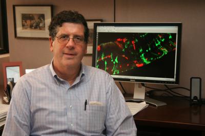 Dr. Martin Friedlander, Scripps Research Institute