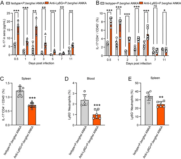 Figure 2 [IMAGE] | EurekAlert! Science News Releases