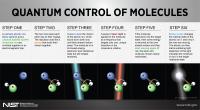 Quantum Control of Molecules 2