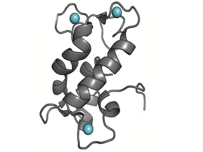 structure of a natural protein [IMAGE] EurekAlert! Science News Releases