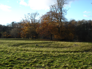 Levens Park ring cairn