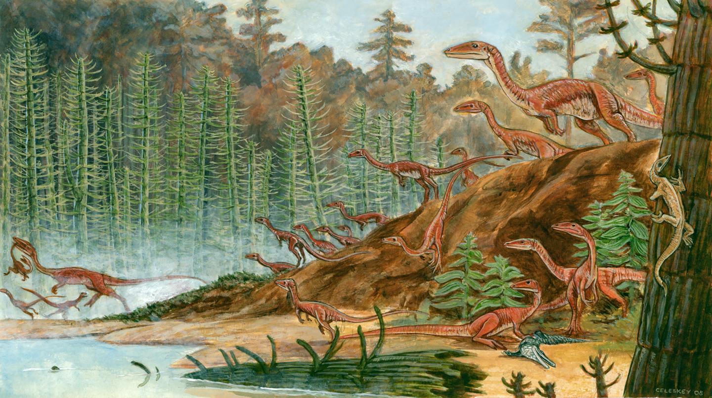 <em>Coelophysis</em> Flock