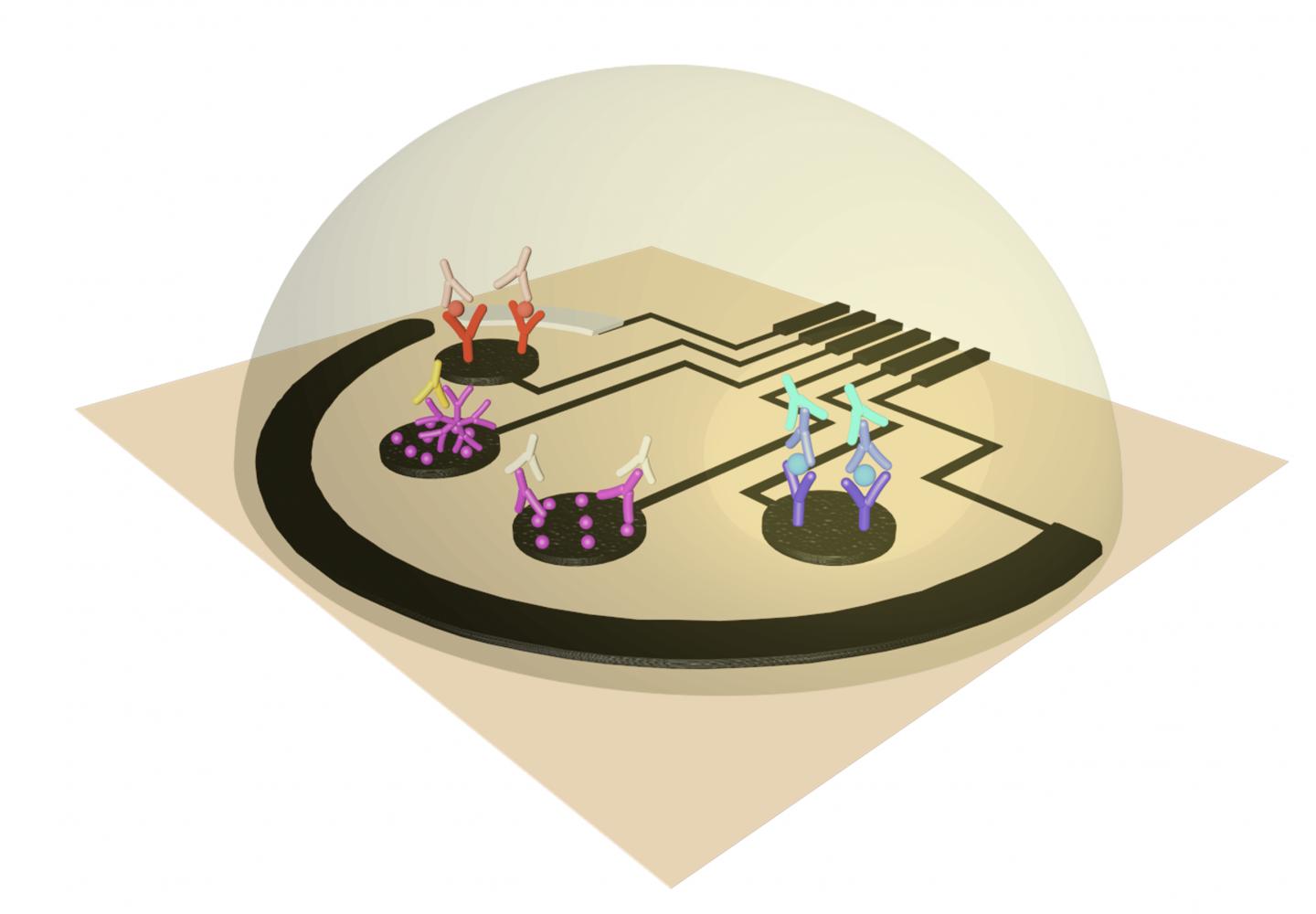 Artist's rendering of the SARS-CoV-2 RapidPlex sensor