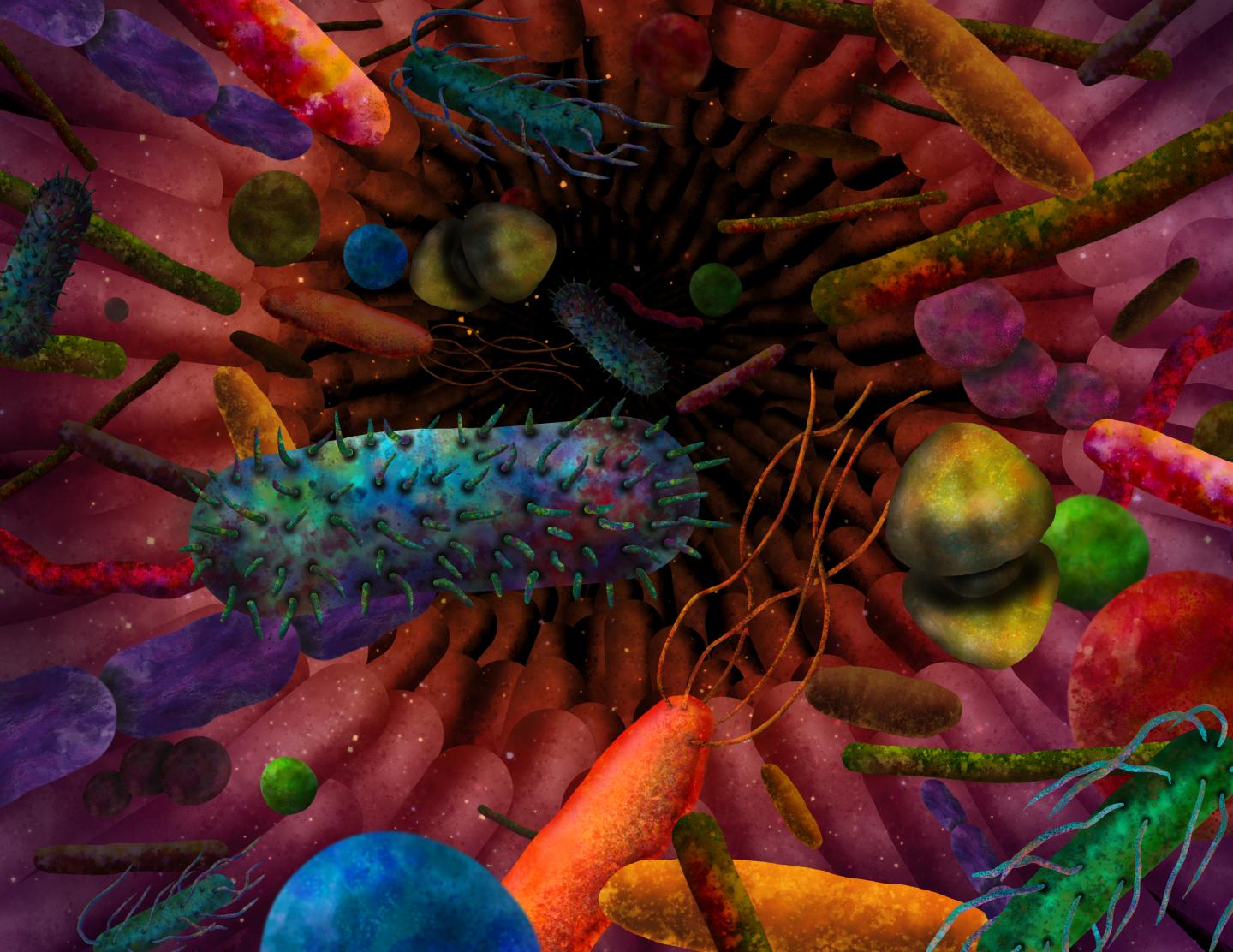 Artist Concept of Gut Bacteria