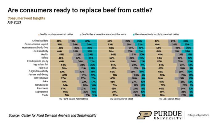Consumer attitudes toward replacing beef from cattle