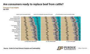 Consumer attitudes toward replacing beef from cattle