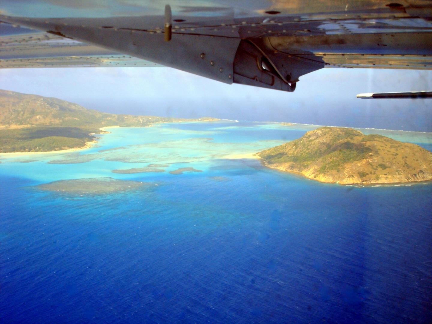 Aerial Photo of Coral Reef