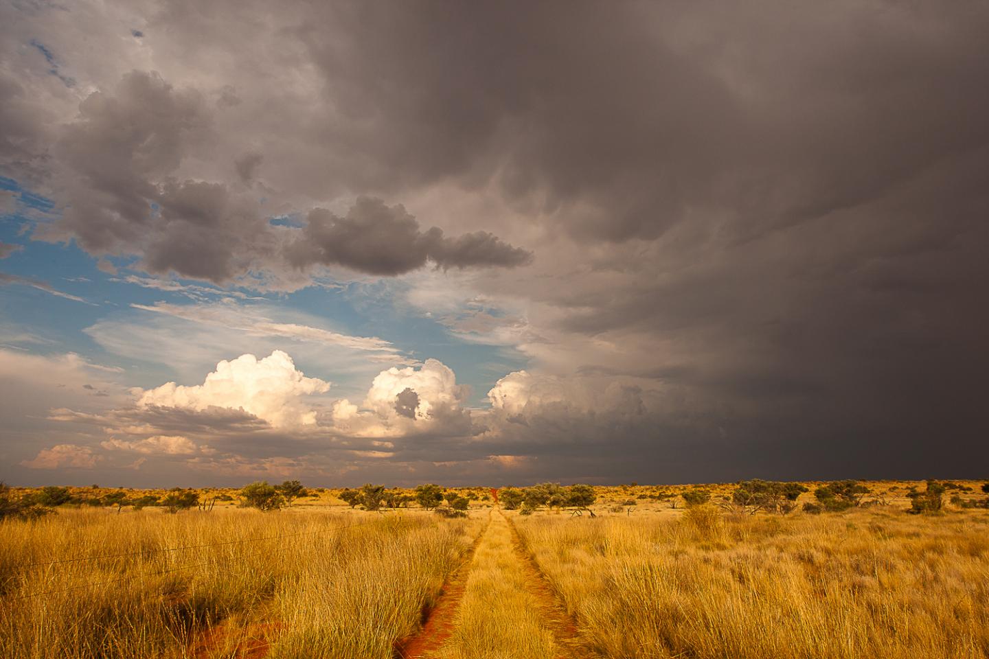 Simpson Desert Panorama