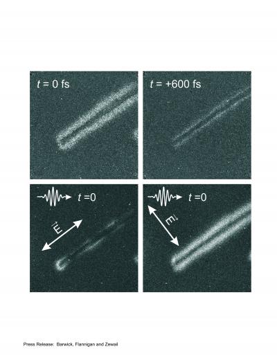 Photons Imaged in Nanoscale Structures