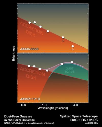 How to Spot a Primitive Black Hole