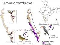 Range Map Overestimations for the Nilgiri Pipit & Malabar Grey Hornbill