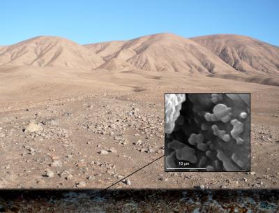 Microbial Oasis Discovered Beneath the Atacama Desert