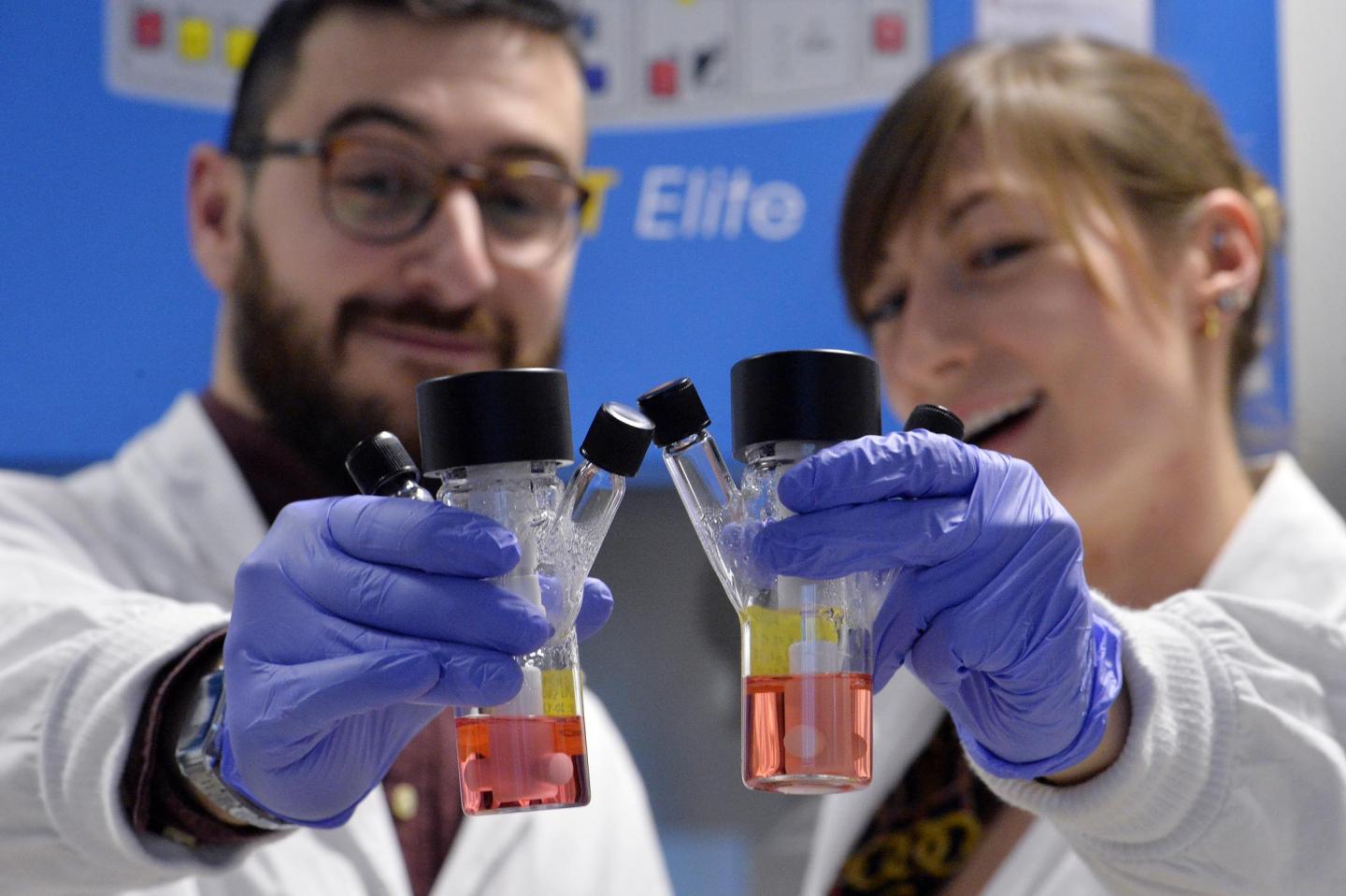 Organoids in Lab