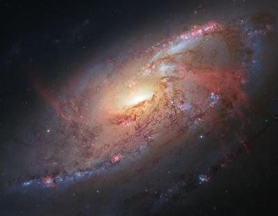 Hubble View of M 106