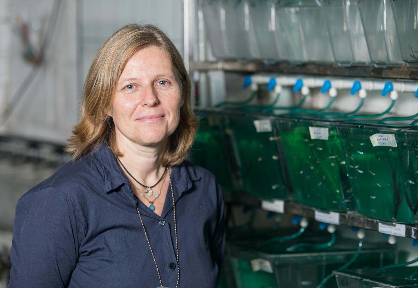 Dr. Sonia Rey Planellas,  University of Stirling 