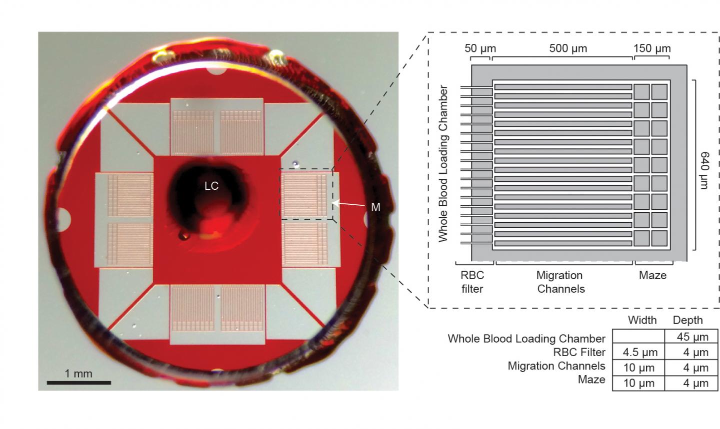 Microfluidic Assay to Diagnose Sepsis