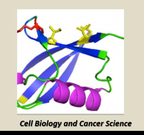 Cell Biology and Cancer Science