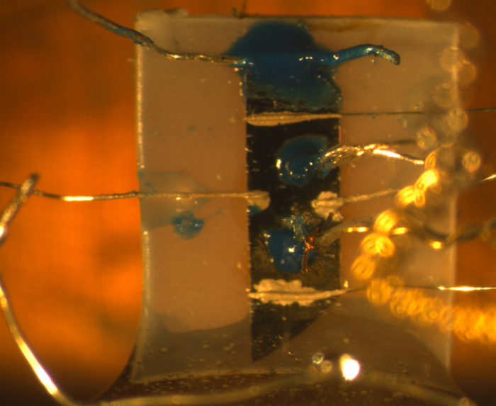 Superconductor material mounted for experimental measurements