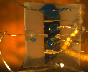 Superconductor material mounted for experimental measurements