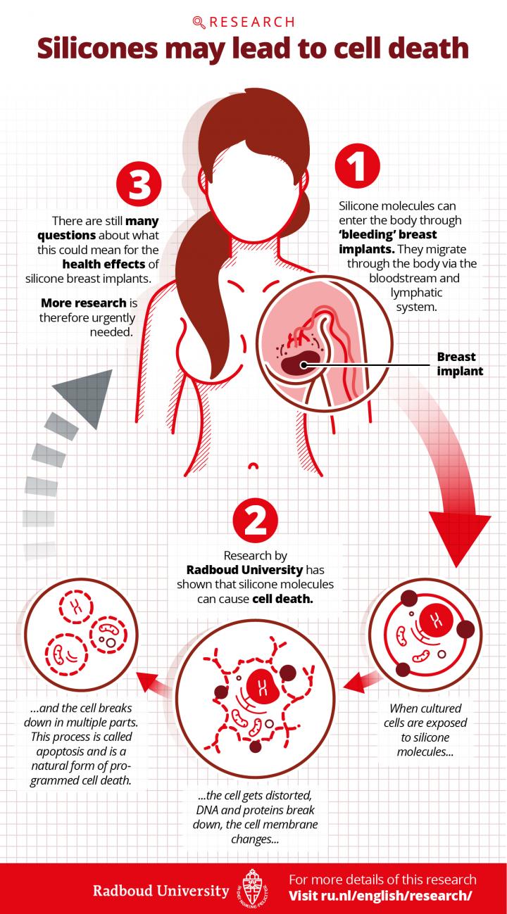 Silicones may lead to cell death