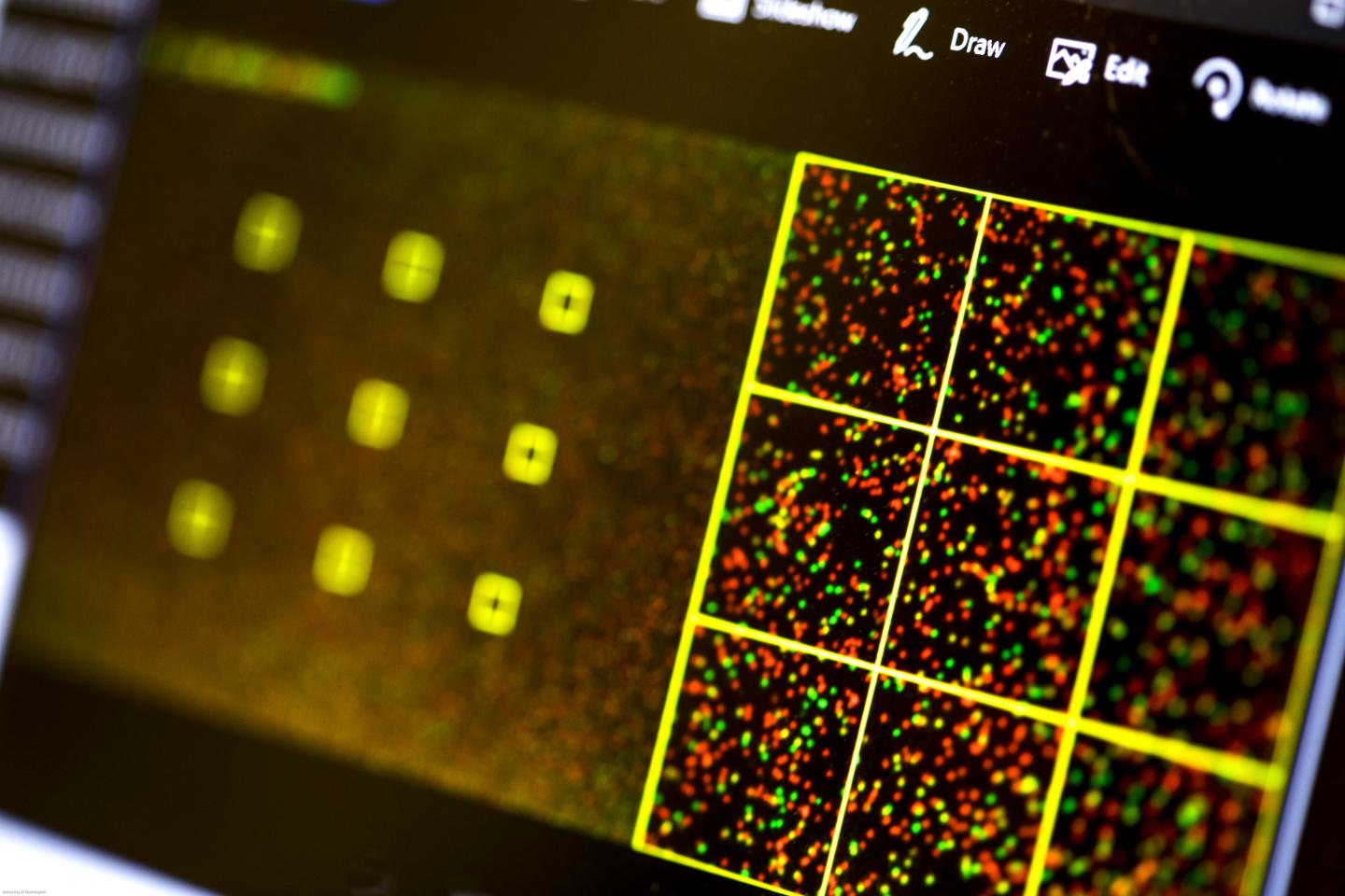 Sequencing Machine Output (1 of 2)