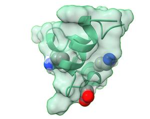 Peptide photo