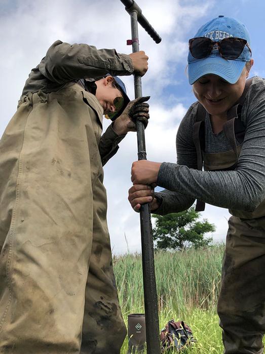 Researchers collecting core samples