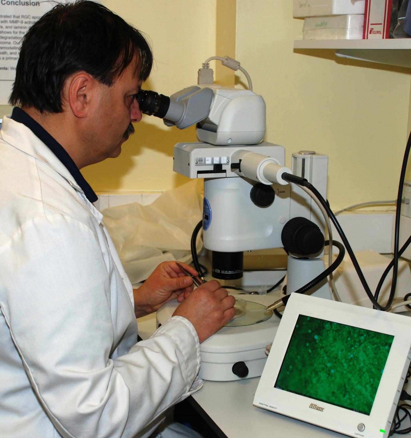 Dr. Imre Lengyel, Queen's University Belfast 