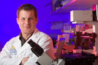 Gary Hammer, University of Michigan