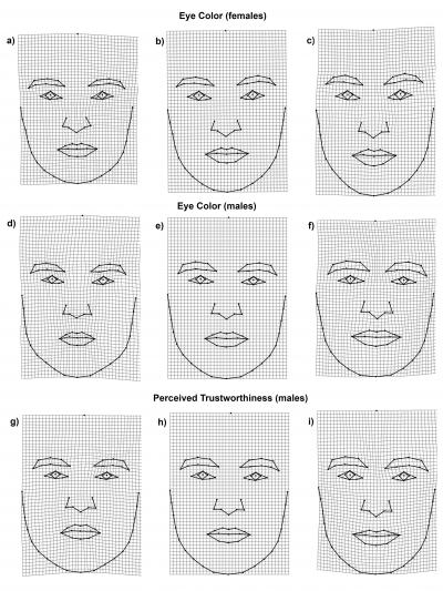 Shape Changes Associated with Eye Color and Perceived Trustworthiness