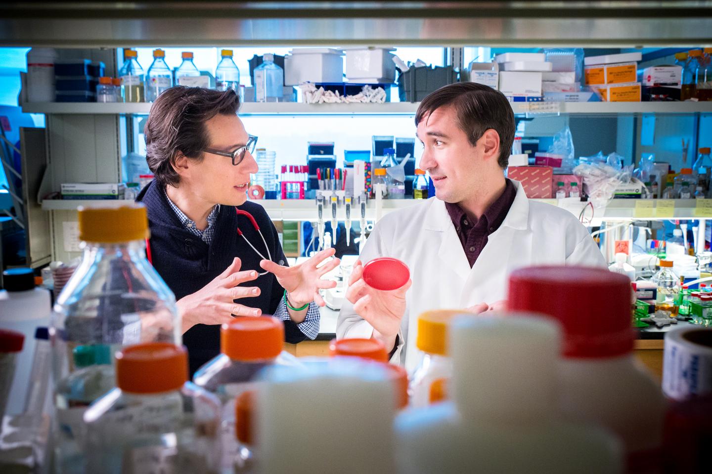 Joshua Wolf and Jason Rosch, St. Jude Children's Research Hospital