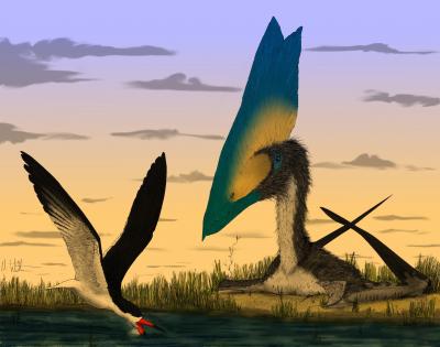 Pterosaurs