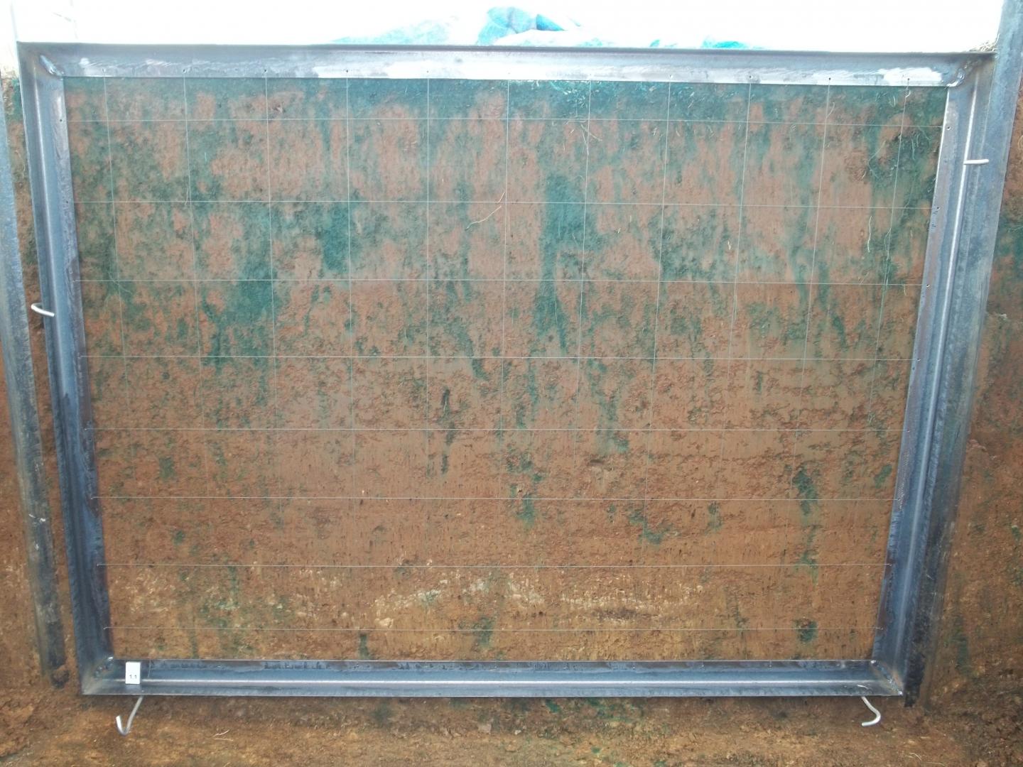 Blue Dye Showing Water Path in Soil