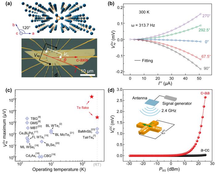 Giant nonlinear Hall and wireless rectification effects at room temperature in the elemental semiconductor tellurium