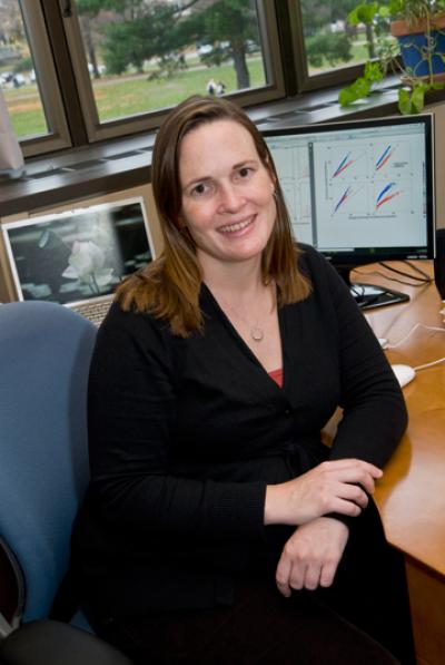 Sara Cordes, Boston College