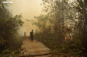 firefighters