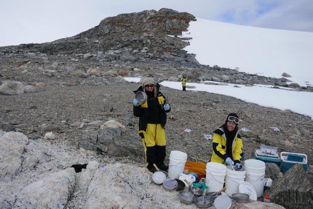 UNSW researchers Belinda Ferrari and Eden Zhang collect soil samples