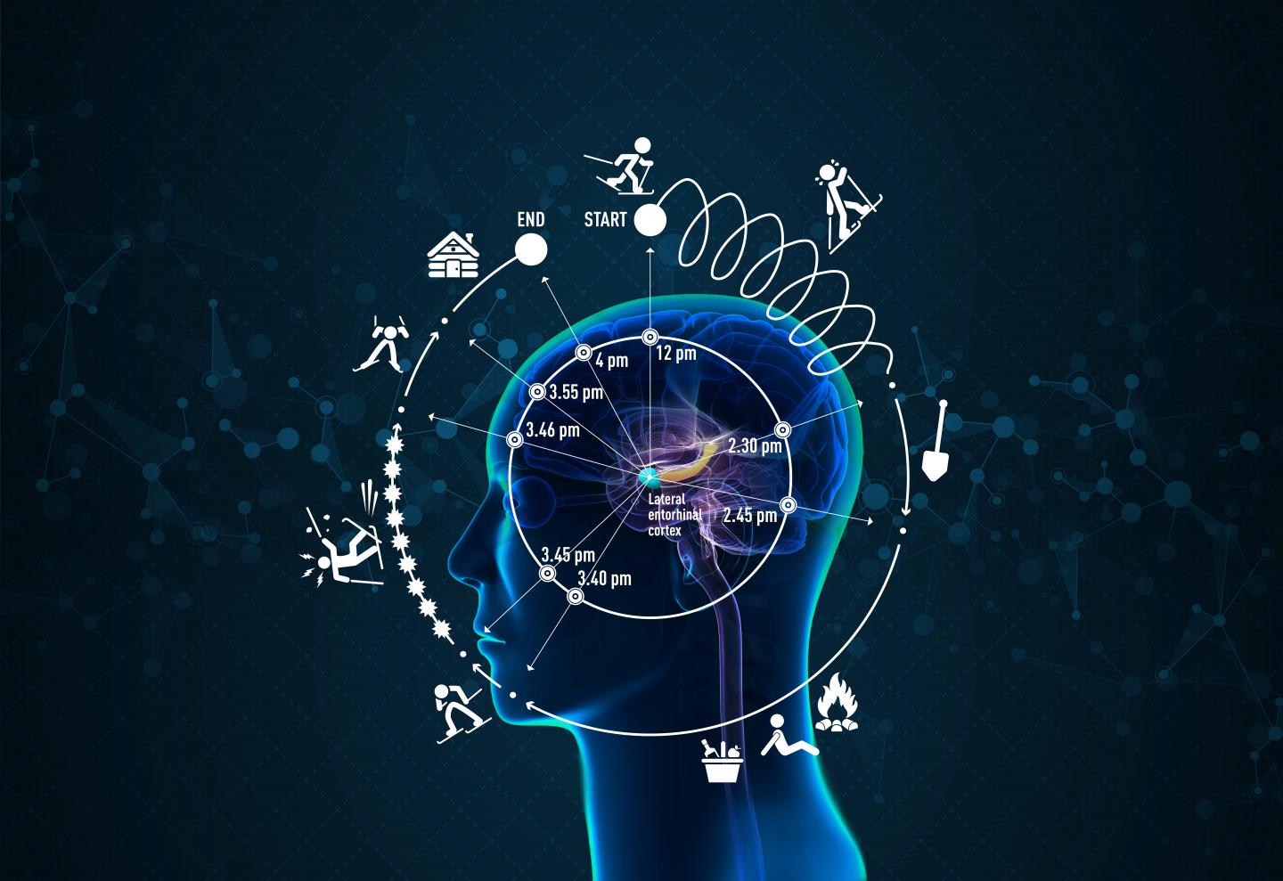 A Neural Clock for Time in Experience and Memories