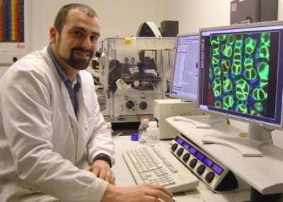 Dr. Stefano Gattolin, University of Warwick