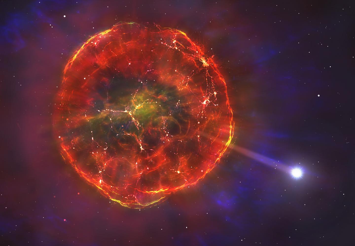The Material Ejected by the Supernova
