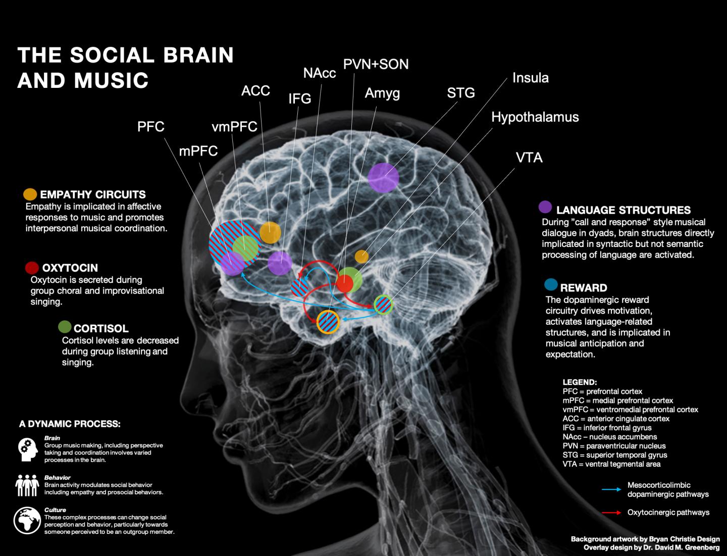 What happens in the brain when people make music together?