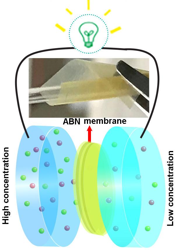 Bio-Inspired Nanocomposite Membranes