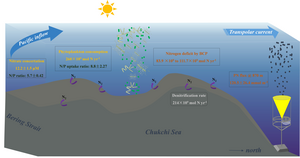 Overlooked contribution of the biological pump to the Pacific Arctic nitrogen deficit