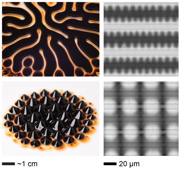Patterns in an electroferrofluid