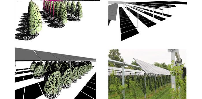 Agrivoltaics integrates solar power generation with agriculture.