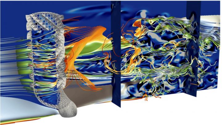 Extreme flow simulations reveal skeletal adaptations of deep-sea sponges