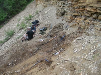 Fossil-Bearing Sediments 