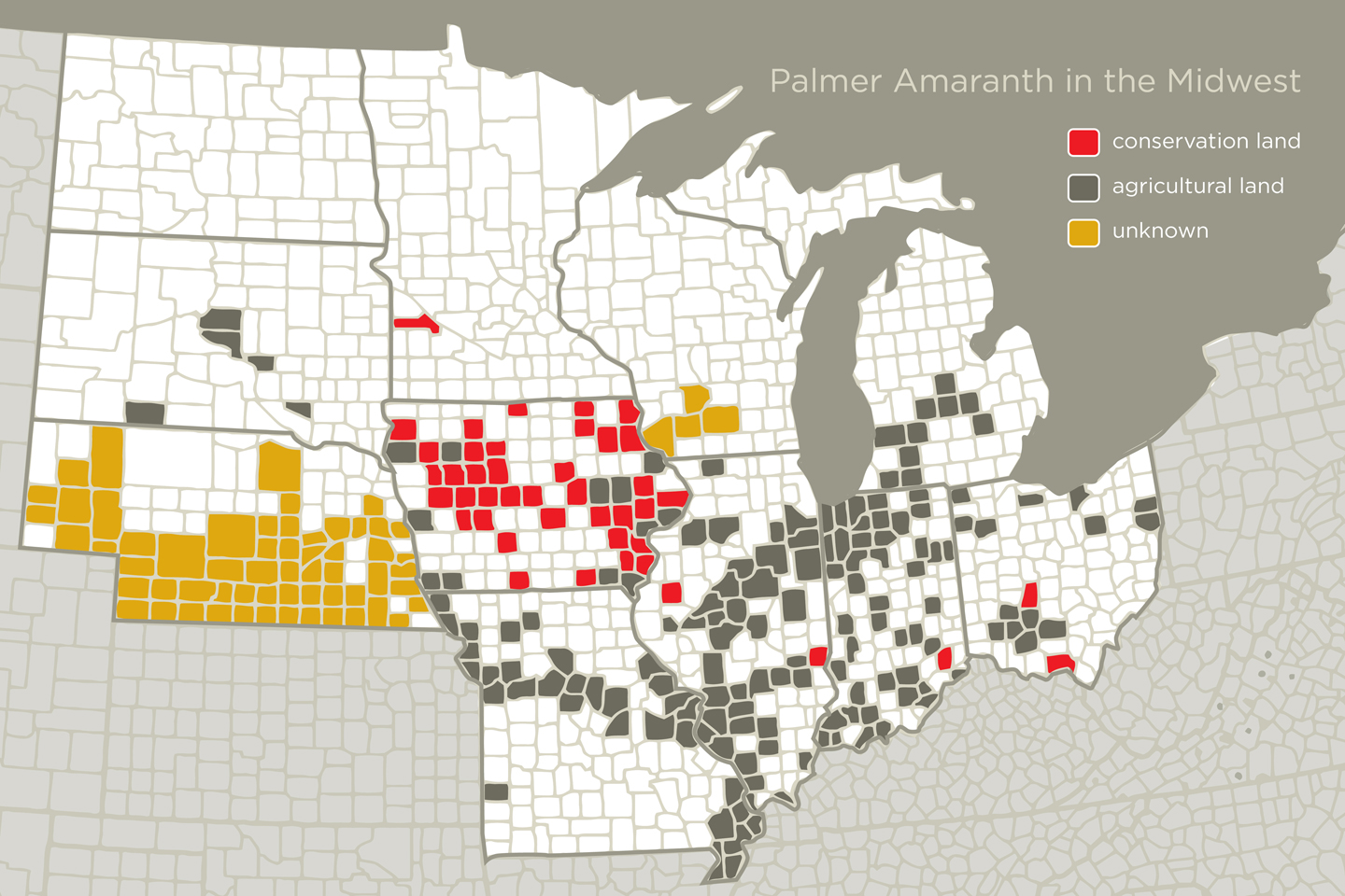 Bad Seeds Bring Palmer Amaranth to the Midwest